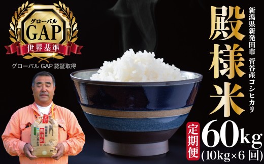 yVVcszyցzߘa7NY RVqJ al 10s×6 V VY VcY    RVqJ ʍ͔| z㐛JĔ̔ 10kg 6 60kg  al ʌ D17_02