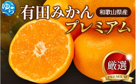 ya̎RRǒzys\z11蔭 v~ALc݂2.5kg+250giݕ⏞j(n)yikd005Dz