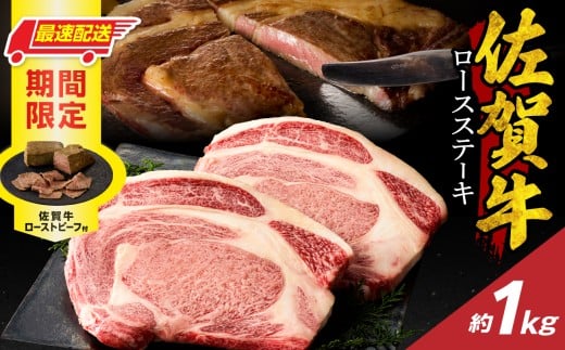 yꌧCzyőzzꋍ[XXe[L 1kg + ʌ ꋍ[Xgr[t 2{ ^    ꋍ ~ [X Xe[L A5 A4 a5 a4 јa uh Y ꌧ 