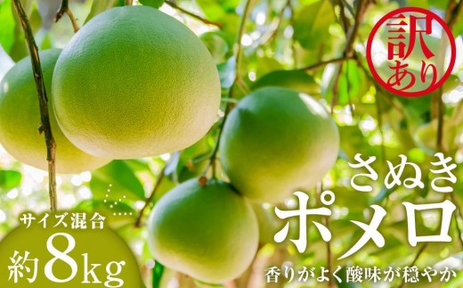 y쌧oszy󂠂zʂ|@WiTCYj