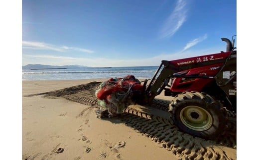 ys{Osz?u[tbOF؎擾ڎw? SESÃ[̃r[`Âւ̊x 1 100,000~yԗiȂz@YG00004