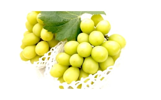 yLLszy2026Ns\zVC}XJbg@2`3[i1.3kgj@9{@L@_ƒEVN̂@yzsFzy͂wsz