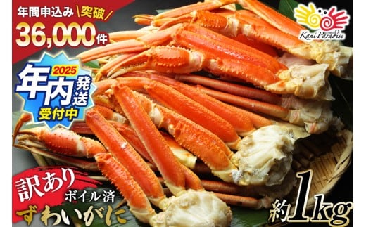 y{錧Cszy2025 Nzz 󂠂 {C 킢 tr d1kg [Jl_C {錧 Cs 20564325] Jj   YCKj 킢I YCI 킢 YC I Jj