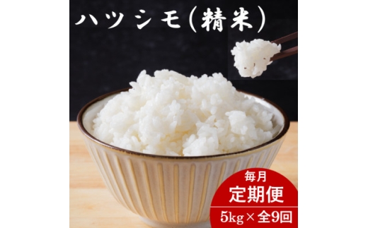 y򕌌Hszց򕌌YncV() 5kgS9y4076408z