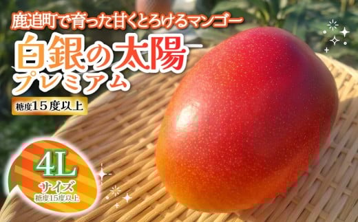 ykCǒzkCǎY@̑zv~AixPTxȏj@SL×Pʁy ӂ邳Ɣ[ lC  LO }S[ }S[t[c ʕ  ʎ t[c