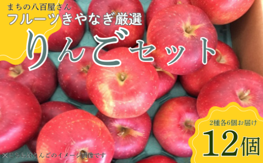 y茧kszykYz12蔭Jn\ TӂEVimS[h Zbg e6iv 12 j  Y ь lߍ킹 茧 ks E0039 Abv { ʕ t[c fruit 