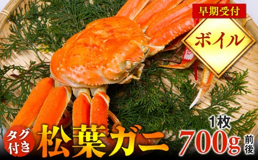 y挧khzytzy{Cz^OttKj@1i700gOjs Jj I YCKj tws2025N11{珇\