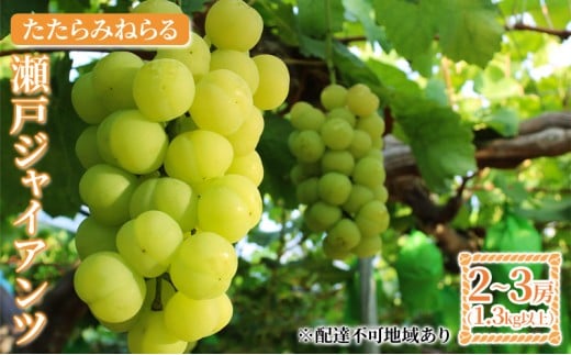 yRzy2026Ns\z Ԃǂ RY ݂˂ ˃WCAc 1.3kgȏi2[`3[j s2026N9{-10{oׁt  uhE t[c ʕ XC[c ʌ