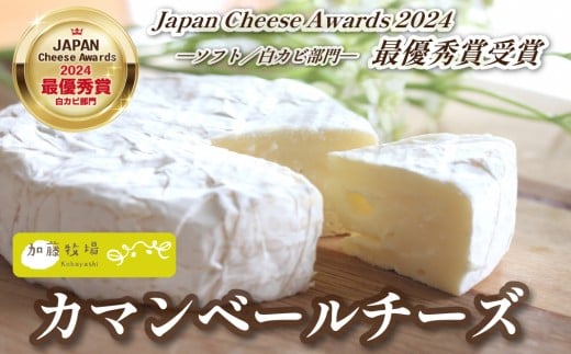 y{茧юszyReXgŗDG܎܁IzJ}x[`[Y 1 100g i`[Y Y i  Y`[Y mz  lCj