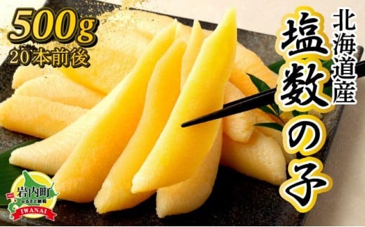 ykCzsꔪƐYt̎q 500g kCY F21H-425