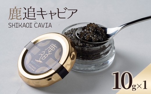 ykCǒzǃLrA 10g×1 y ӂ邳Ɣ[ lC  LO LrA Y    Hi Ⓚ  ґ O Mtg  ܂ kC ǒ 