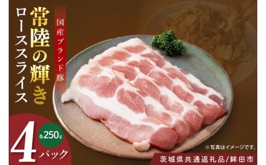 y錧zy錧ʕԗi/gcszY헤̋P؃[XXCX1.0s (250×4o) | ~ _炩 i 錧Y(92-09)