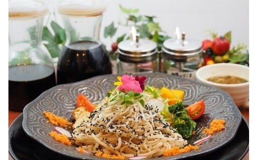 yޗǌޗǎszĖ 8 inĔZbg (͔|Ԓ_sgp100)   ޗǌ ޗǎs T-41