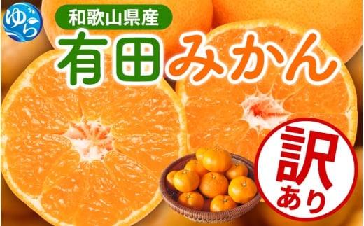 ya̎RRǒzys\zƒpLc݂TCY(2S`2L) 5kg+250g 11蔭(n) Lc݂ ݂  ʕ t[c 󂠂 󂠂݂ A IW Lc k