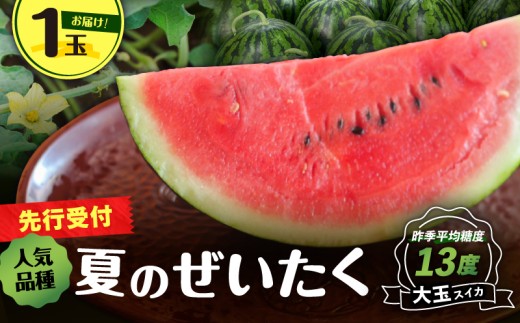 y_ސ쌧OYszyxzOY̑ʃXCJ1ʁyIn͔|z@M072-001-01