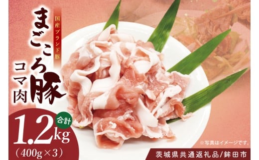 y錧zy錧ʕԗi/gcszY܂؃R}1.2kg (400×3) | Â  Ǖi ŏ㋉ 錧Y(92-08)