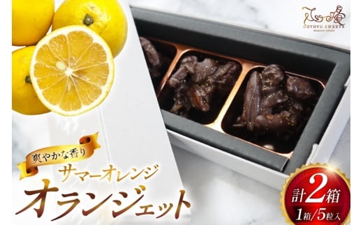 y茧ˎsz`R IWFbg T}[ IW 5 2 Zbg  [SD-Cotoyu Sweets- 茧 ˎs hr42bgy420205] `R[g VR s[ k XC[c