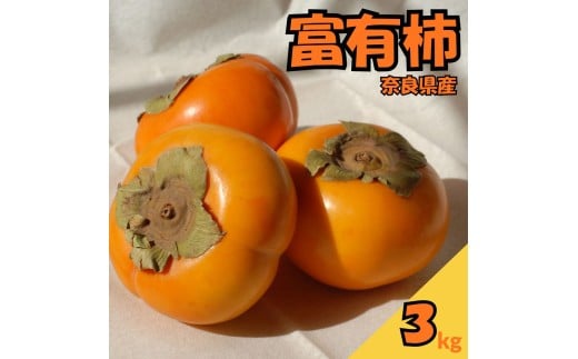 yޗǌOzƂ̊`@xL`@3kg