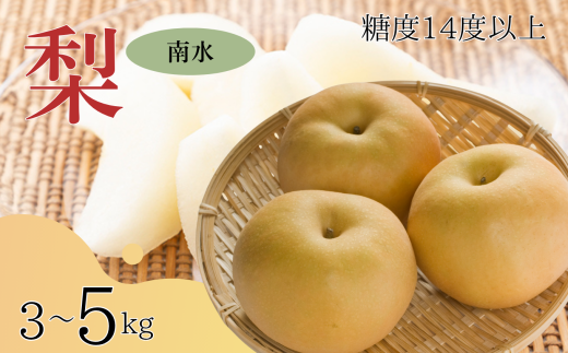 y쌧ѓcszy2026Ns\z 쐅 x14xȏyIׂeʁz3kg 5kg | ʕ  t[c 쐅  Ȃ iV VN 쌧 MB MB ѓcs