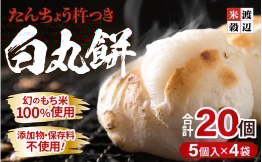 y䌧sz񂿂傤nuۖ݁v5 × 4pbN v20 ʍ͔|ĎgpI `̂100gp` y `` YEۑsgp G 񂴂 ɂ