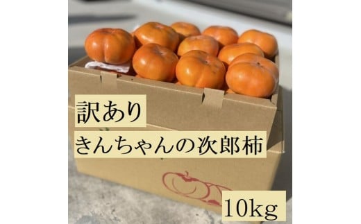 yOdCz`Â40NI񂿂_̖󂠂莟Y` 10kg Y` ˂Ȃ `  t[c ƒp 󂠂 KiO 킯 s ӂ낢 Ȃ ` s s\ Od