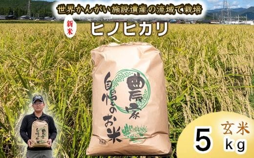 yɌ蒬zy  V zߘa7NxY@qmqJ ā@ 5kg@͂@ɌY@E񂪂{݈Yo^w`Hx