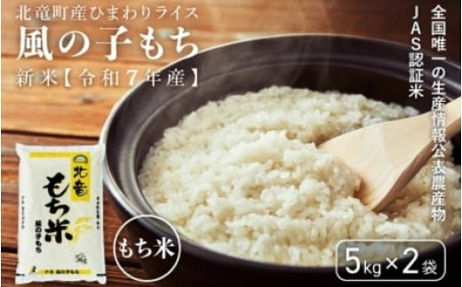 ykCkzyߘa7NYāz ̎q 10kg kC kY /ā@ysun408-mochi-10-R7z