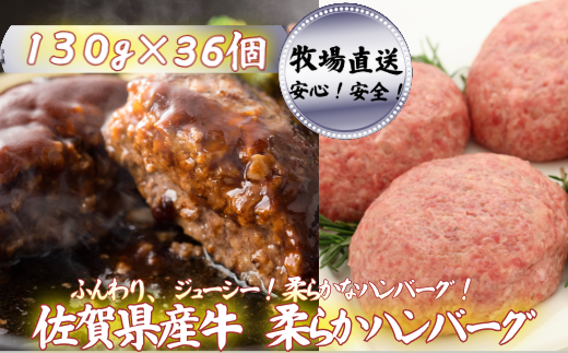 yꌧszyq꒼zY_炩no[O 36FB500-013