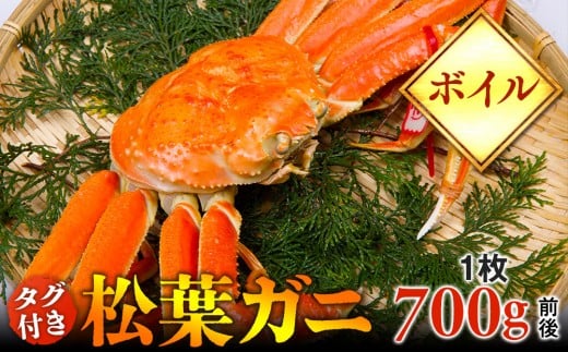 y挧khzy{Cz^OttKj@1i700gOjywsz2025N11{`2026N3{ɏ\s Jj It