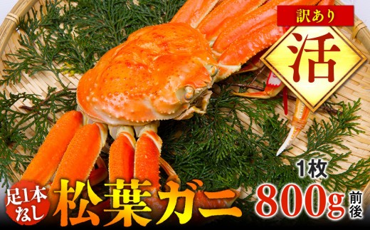 y挧khzyz1{Ȃ@󂠂@tKj@1i800gOjywsz2025N11{`2026N3{ɏ\s Jj It