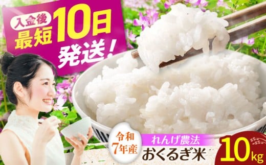 y򕌌䐓zNߘa7NxY񂰔̂邬 10kg/ۑS  /䐓/ЃAIL [AVBN006]