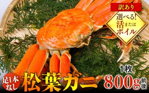 y挧khzyIׂ܂I܂̓{Cz1{Ȃ 󂠂 tKj 1i800gOjywsz2025N11{`2026N3{ɏ\ b I  tKj tI