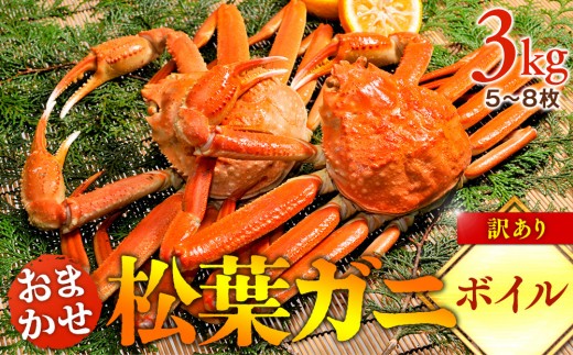 y挧khzy{Cz󂠂@tKj܂3kgi5`8j2025N11{`2026N3{ɏ\聦ws