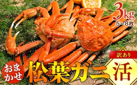 y挧khzyz󂠂@tKj܂3kgi5`8j2025N11{`2026N3{ɏ\聦ws