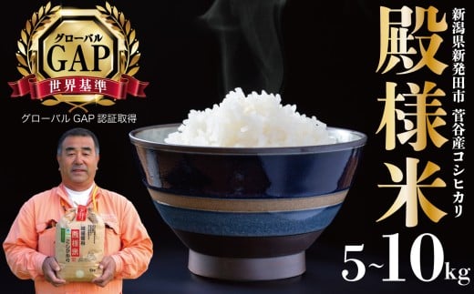 yVVcszRVqJ    ͔| ʍ͔| VY z㐛Jal 5s ߘa7NY  VY VcY  5kg z㐛J al RVqJ D05_04P