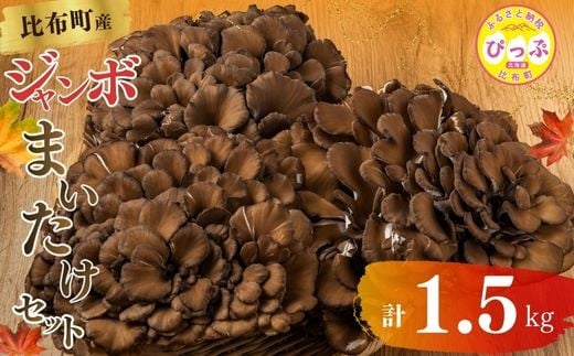 ykCzzW{܂ 1.5kgi500g×3jZbgykĈi] ŗDG܎܁zy_Yẑ LmR Zbg lߍ킹  Y kCY kC z ҂ 1002-00