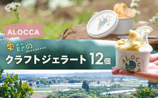 y{茧zw\I[KjbN^E͂AG߂̃NtgWF[gq12Zbgr