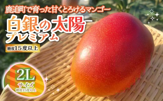 ykCǒzkCǎY@̑zv~AixPTxȏj@QL×Pʁy ӂ邳Ɣ[ lC  LO }S[ }S[t[c ʕ  ʎ t[c