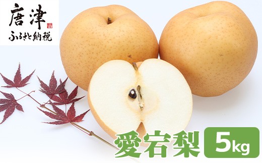 yꌧÎsz󂠂 H׍  {̗5kg@@ʕ t[c 