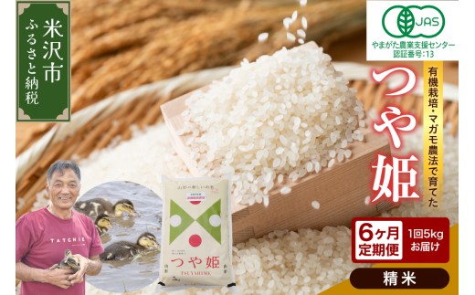 yR`đszy 6 / ߘa7NY z L@JAS P 5kg×6 v30kg sāt L@엿100% _ 2025NY _ƒ uh