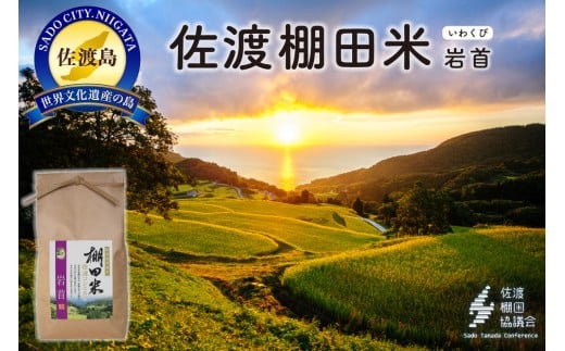 yVnsznYRVqJ 񏸗Ic 4Kgi2Kg×2܁jyߘa7NYz