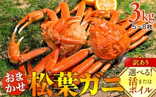 y挧khzyIׂ܂I܂̓{Cz󂠂 tKj܂3kgi5`8j2025N11{`2026N3{ɏ\聦ws b I  tKj tI 󂠂 