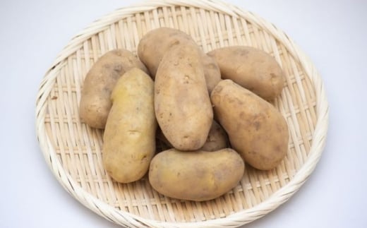 ykC^zy2026N10{\zႪ s\ kC ^t@[̂肶Ⴊu[NCv10kgs^ty()^t@[zߘa8NY WKC  