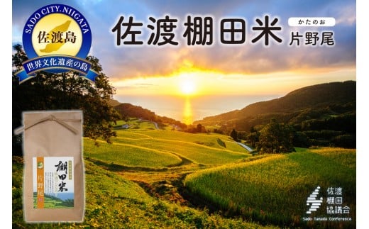 yVnsznYIc Жʂ 4Kgi2Kg×2܁jyߘa7NYz