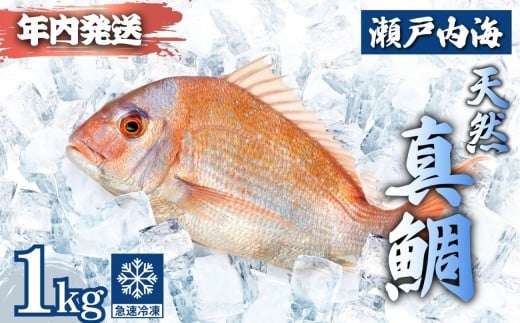 yL|szy2025N1221܂ł̂ŔNzz˓ VR^ ۂƎp(낱E) 2?3C v1kgb ^C  ^ }Ⓚ ς hg Ă Ă J