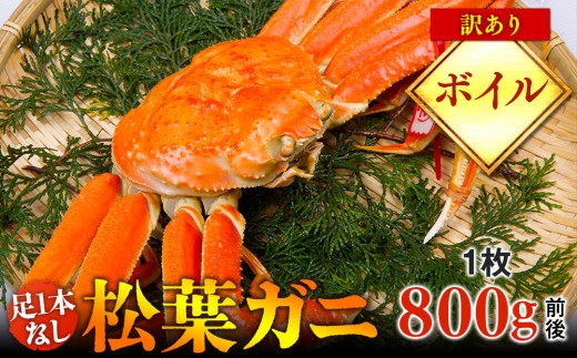 y挧khzy{Cz1{Ȃ@󂠂@tKj@1i800gOjywsz2025N11{`2026N3{ɏ\s Jj It