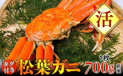 y挧khzyz^OttKj@1i700gOjywsz2025N11{`2026N3{ɏ\s Jj It