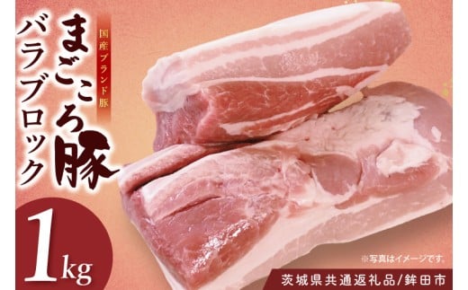 y錧zy錧ʕԗi/gcszY܂؃oubN1.0s| Â  Ǖi ŏ㋉ 錧Y(92-07)