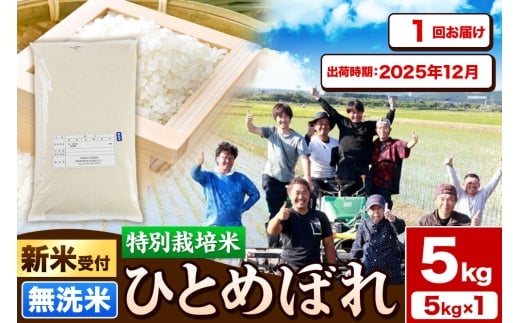 yHcR{szsVĎttߘa7NYyāzʍ͔| ЂƂ߂ڂ 5kg HcYy2025N12oׁz