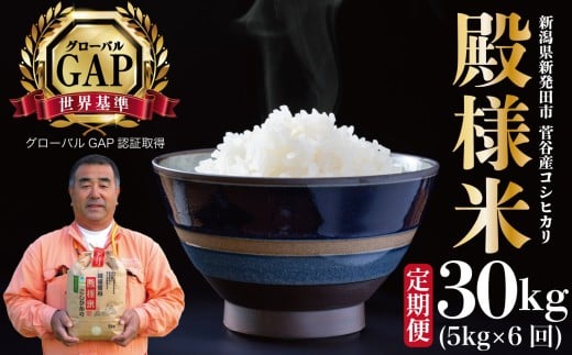 yVVcszyցzߘa7NY VY z㐛Jal 5s 6 30kg  V VY VcY  RVqJ ʍ͔| z㐛JĔ̔ 5kg 6  al ʌ  D16_03